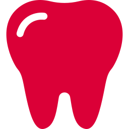 molar tooth