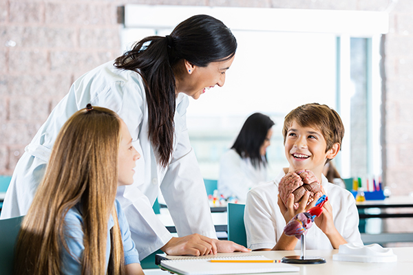 Adult Hispanic woman is teacher in private middle school or junior high school. She is leaning over desk and assisting preteen students with their science project. Blonde preteen girl and adolescent boy are classmates working on a project about human anatomy using plastic models of human heart and human brain.