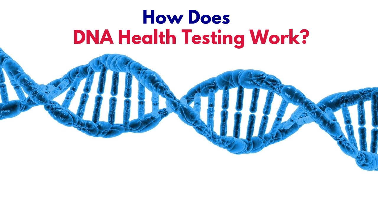 DNA strand for health testing